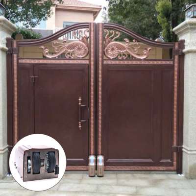 Modern Luxurious Craft wrought iron inserts for gates iron main gate designs